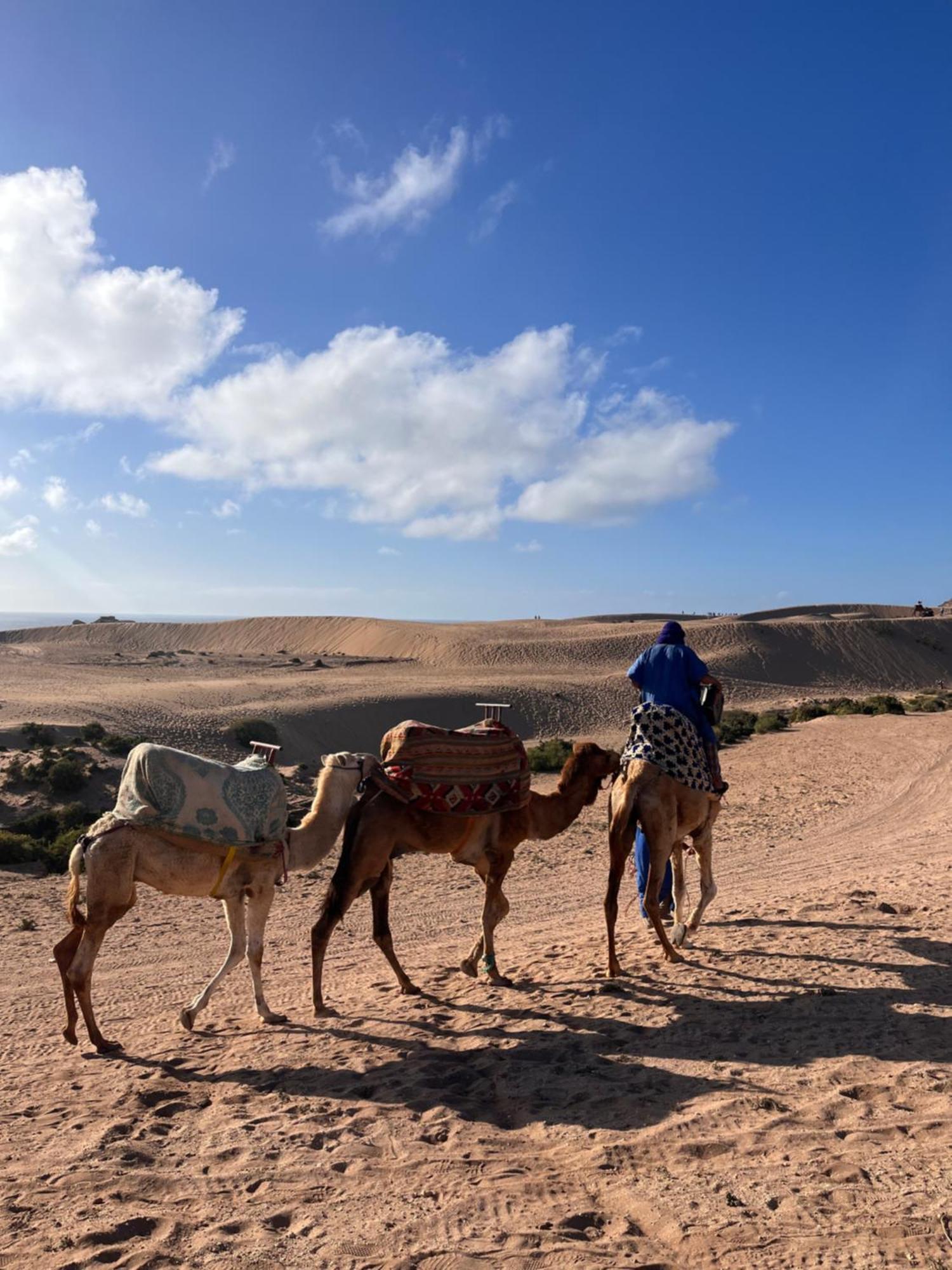 Nizar Surf Morocco Vandrarhem Taghazout Exteriör bild